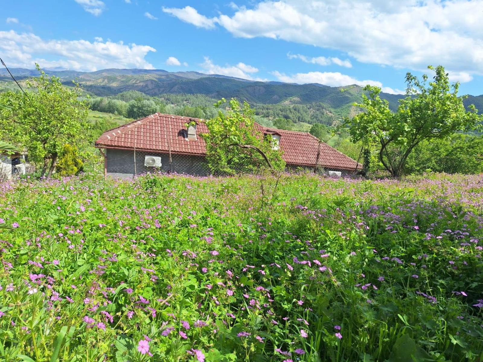 Spring Village Home Permet Exterior photo